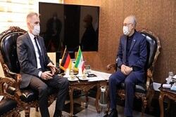 AEOI chief, German amb. discuss JCPOA