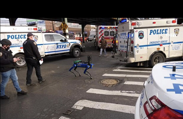 سگ رباتیک به گزارش پلیس رسیدگی می کند