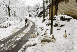 املش گاؤں میں شدید برف باری