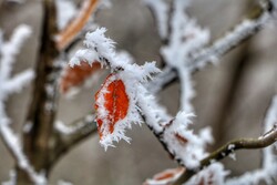 دمای هوا در آذربایجان غربی ۸ درجه سردتر می شود