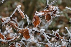 دما در چهارمحال و بختیاری کاهش می‌یابد