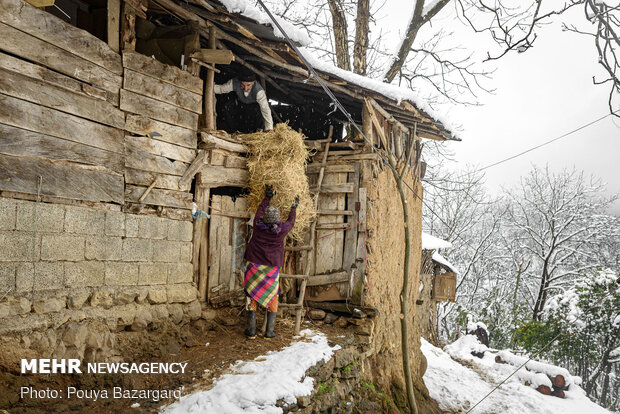 روستای تابستان نشین املش در برف