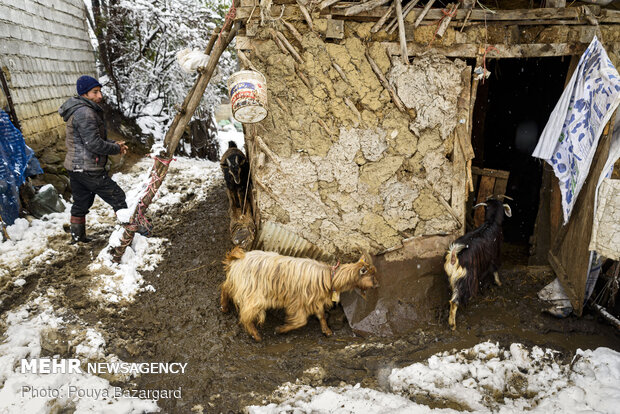 روستای تابستان نشین املش در برف