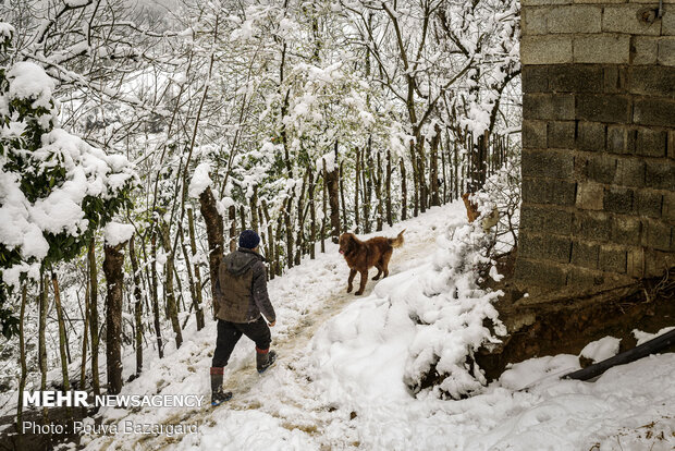 روستای تابستان نشین املش در برف