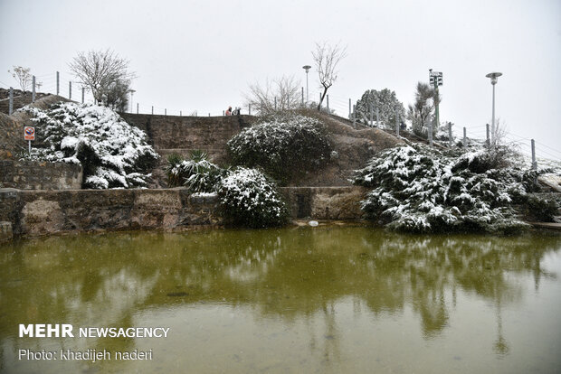 بارش برف اصفهان