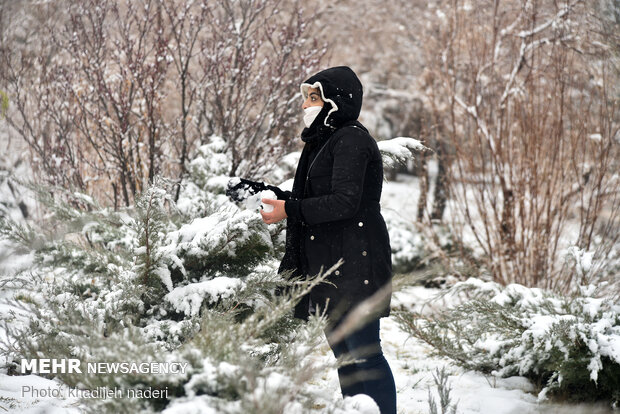 بارش برف اصفهان