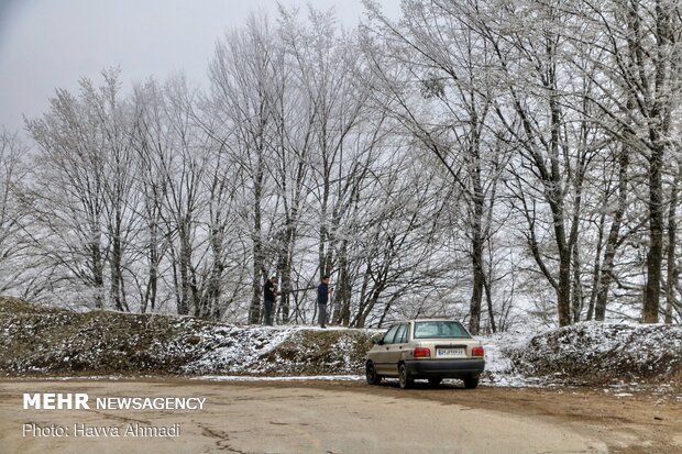 سرما و یخ بندان در سوادکوه