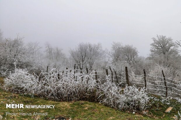 سرما و یخ بندان در سوادکوه