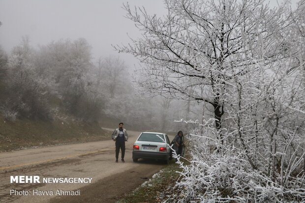 سرما و یخ بندان در سوادکوه