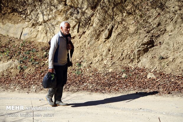 زندگی در روستای ازآنده شهرستان سوادکوه - مازندران