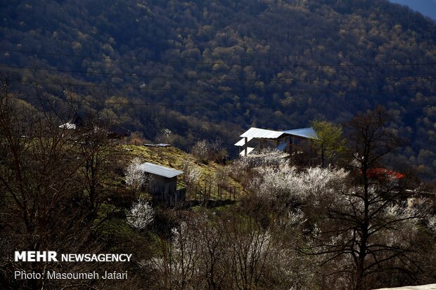 زندگی در روستای ازآنده شهرستان سوادکوه - مازندران