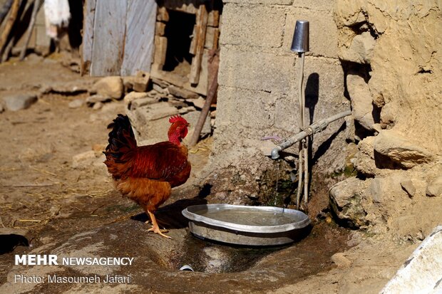 زندگی در روستای ازآنده شهرستان سوادکوه - مازندران