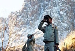 حمله به حافظان جنگل؛ آغاز بحثی تازه درباره بوم‌تروریسم