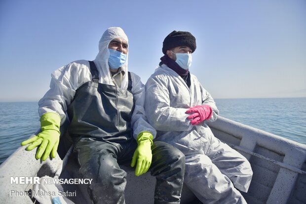 پایان تلخ مهاجران خلیج