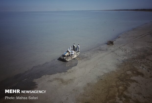 پایان تلخ مهاجران خلیج