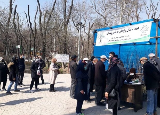 توزیع نهال رایگان در بین شهروندان شمال تهران آغاز شد