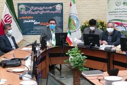 ۱۲۰۰ هکتار نهال کاری در اراضی طبیعی استان سمنان انجام شد