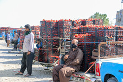 دست دلالان از محصولات کشاورزی کرمان کوتاه شود