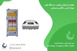 دستگاه جوجه کشی خانگی بهتر است یا صنعتی؟