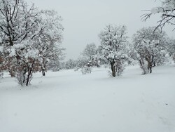 نخستین برف پاییزی ارتفاعات خوزستان را سفیدپوش کرد