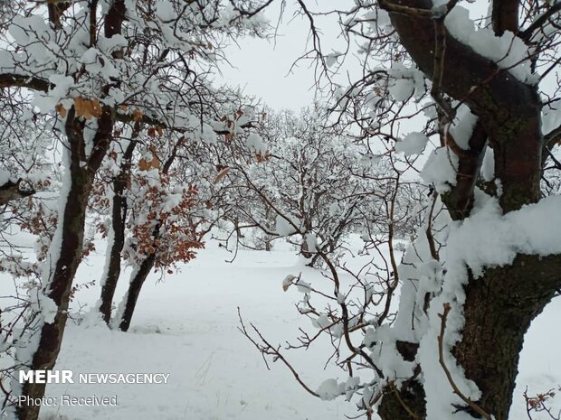 Winter snow whitens Dehdez in Khuzestan Province