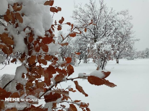 Winter snow whitens Dehdez in Khuzestan Province