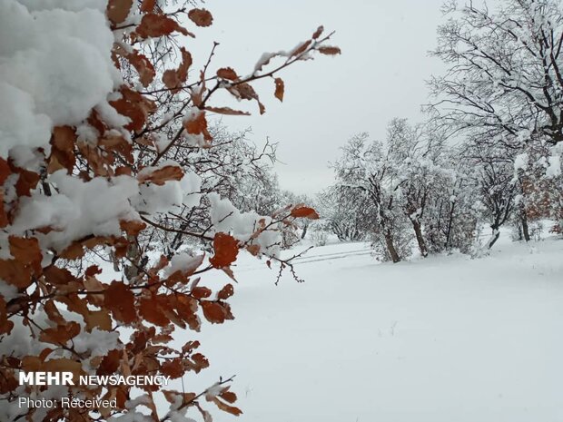 Winter snow whitens Dehdez in Khuzestan Province