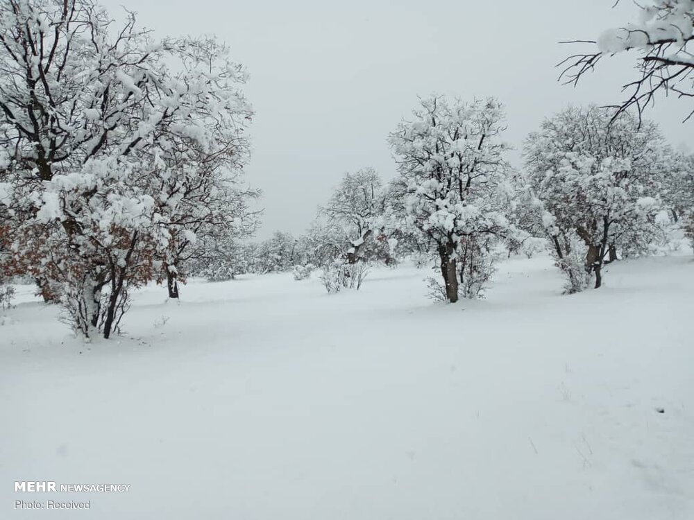 بارش سنگین برف در شهرستان بیجار