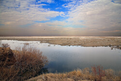Band-e Alikhan wetland in south of Tehran