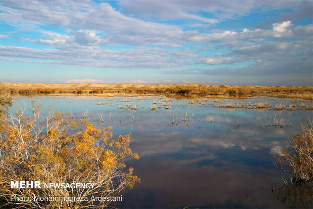 Band-e Alikhan wetland in south of Tehran