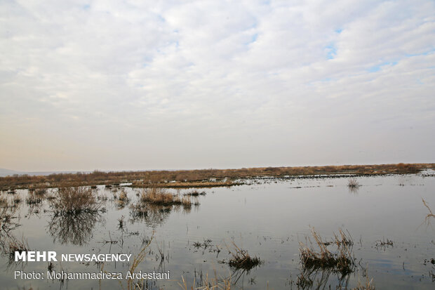 Band-e Alikhan wetland in south of Tehran