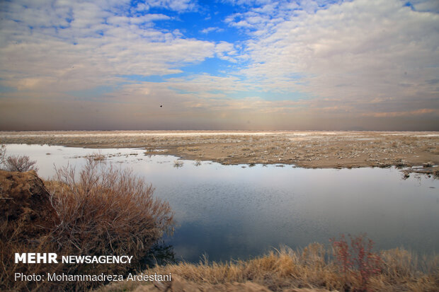 Band-e Alikhan wetland in south of Tehran
