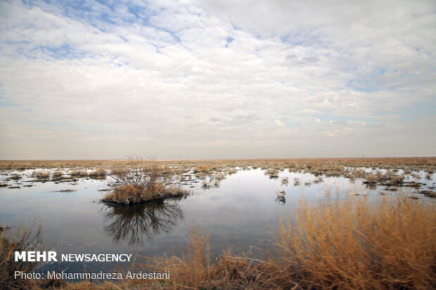 Band-e Alikhan wetland in south of Tehran