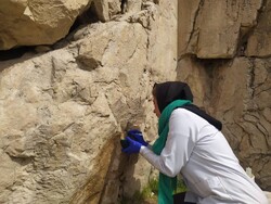 کشف یافته های جدید باستانی در تخت جمشید/تفاهم گردشگری با تاجیک ها