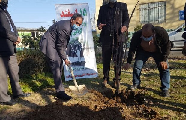  کاشت نهال، فرهنگی موثر در حفاظت از منابع طبیعی