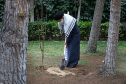 Ayatollah Khamenei planting fruit saplings