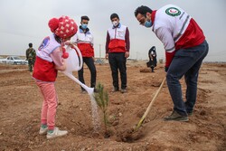 İran'da "Her Çocuk Bir Fidan" projesi