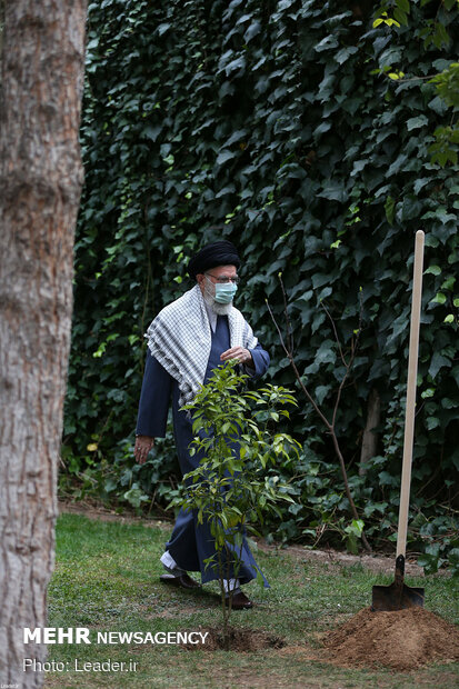 Ayatollah Khamenei planting fruit saplings