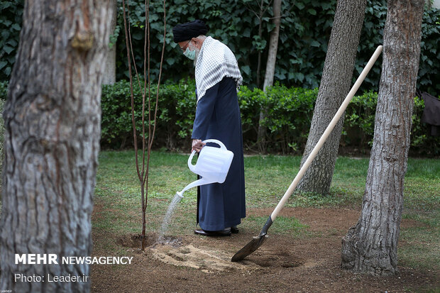 Ayatollah Khamenei planting fruit saplings