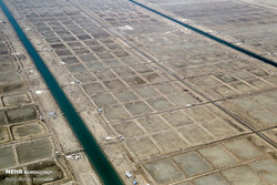 ۵۰ هزار هکتار اراضی ساحلی استان بوشهر برای آبزی پروری شناسایی شد