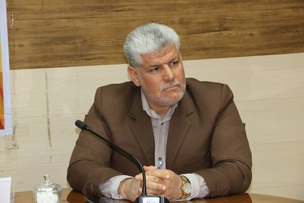 عامل تحرکات ضد امنیتی در بافت دستگیر شد