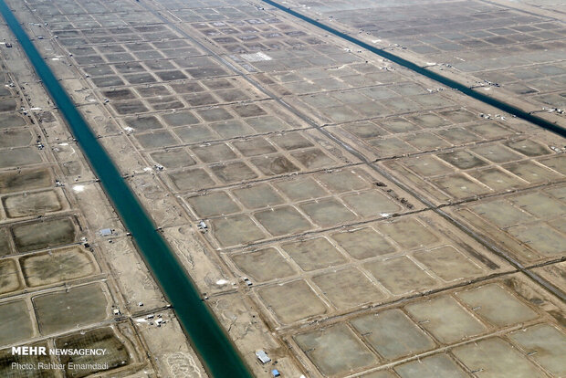 فصل تولید میگوی پرورشی در استان بوشهر آغاز شد/ افزایش اراضی 