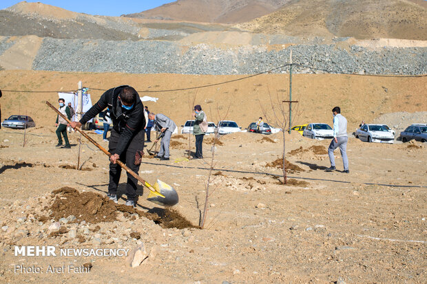  آئین روز درختکاری در اردوگاه شهید مطهری کرج