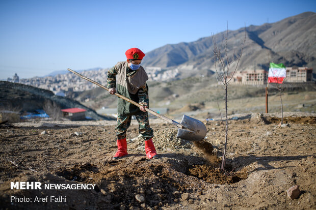  آئین روز درختکاری در اردوگاه شهید مطهری کرج