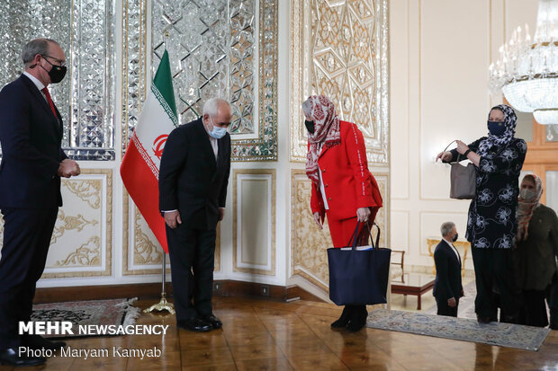 Iranian, Irish FMs meet in Tehran