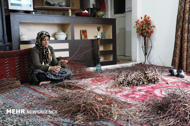 حياكة الاسلال ( الارجوانية)