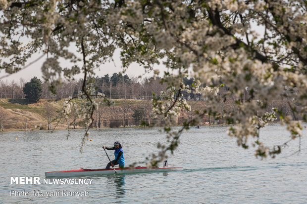 فینال لیگ قایقرانی آب های آرام