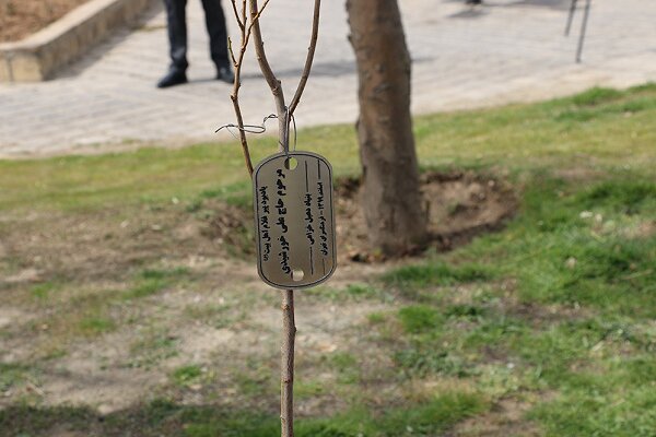 ۲۵ اصله درخت در بوستان باغ‌نو به نام شهدای مداح غرس شد