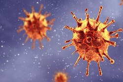 نوع جدید ویروس کرونا در شهرستان شوط در حال بررسی است