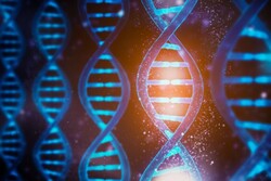 شناسایی ژن ایجادکننده سندروم نوعی اختلال اسکلتی توسط محققان ایرانی